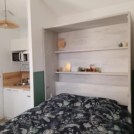 Agreable Studio Lumineux Pour Escapade A Deux ! 1 Piece Avec Salle De Bain - 14m2 - Exterieur Privatif - Daire Saint-Laurent-de-la-Salanque
